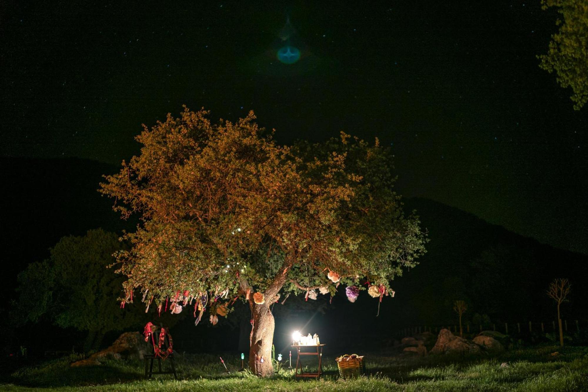 Babakamp Eco Ranch & Retreat Hotel Oludeniz Exterior foto